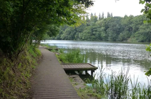 Lymm Dam