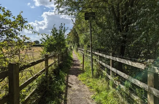 Alongside the M56 to High Legh